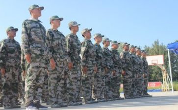 公司的军训心得体会最新6篇