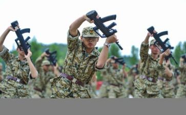 军训的心得体会模板参考6篇