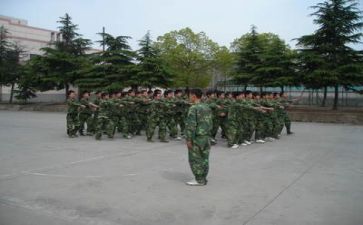 军训期心得体会300字左右7篇