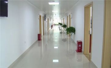 科室半年工作总结范文5篇