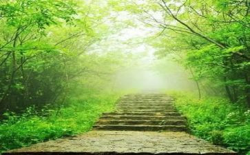 劳动的苦与乐作文800字5篇