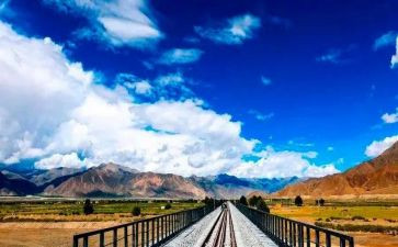 苦旅读后感优秀6篇