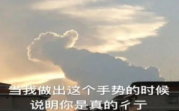 我夸夸作文参考8篇