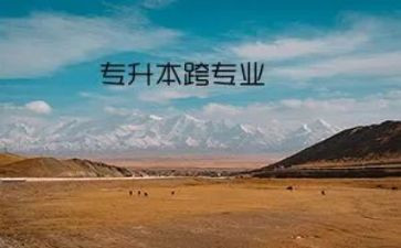跨专业工作总结优秀6篇