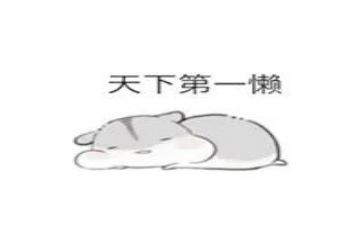 懒惰的狗作文参考5篇