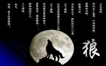 《狼王梦》的心得体会7篇