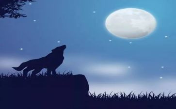 《狼王梦》读书心得体会优秀7篇