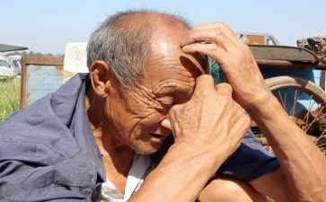 读《老人与海》的心得体会700模板8篇