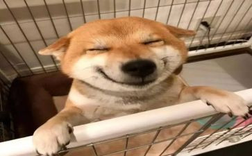 幼儿园音乐课教案模板5篇