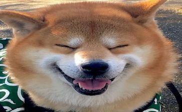 乐园作文我的乐园作文300字最新6篇