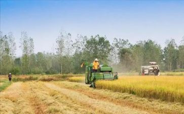 节约粮食,水的演讲稿优秀7篇