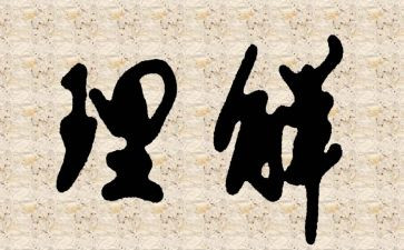 我理解_______作文精选5篇