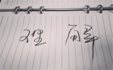 我理解_______作文优质6篇