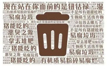 垃圾分类报告总结5篇