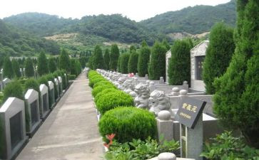 观烈士陵园的心得体会5篇