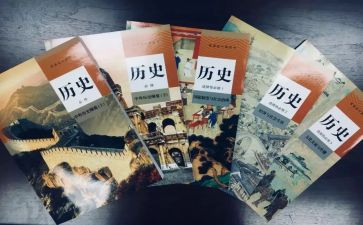 历史教师个人年度总结8篇