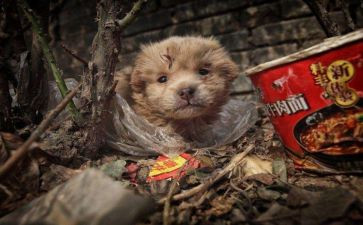 《流浪地球》观后感模板5篇