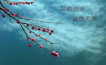 2024年仓储物流年度总结6篇