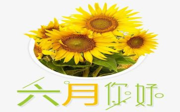 幼儿大班六月份工作总结8篇