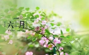 六月班主任月工作总结5篇