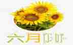 五六月份工作报告5篇