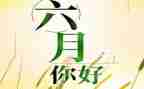 六月份幼儿园工作总结5篇
