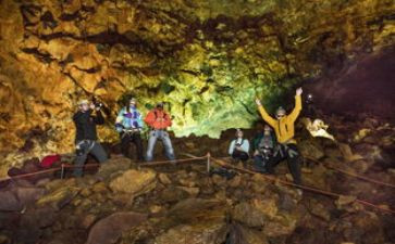 洋葱的历险记读后感7篇