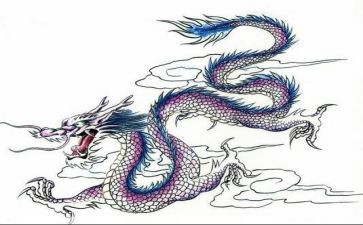 贺子龙先进事迹材料5篇