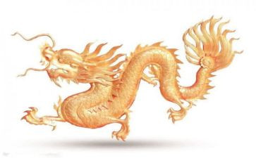 划龙舟心得7篇