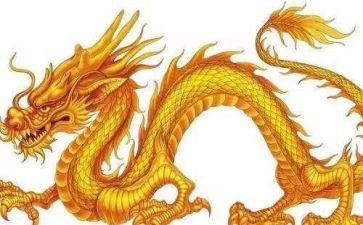 恐龙来了读后感5篇