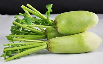 语言《拔萝卜》教案6篇