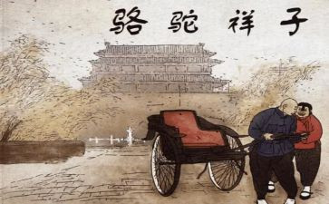 骆驼祥子心得体会800字6篇
