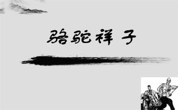 骆驼祥子7心得体会精选8篇