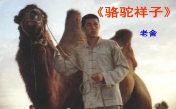 骆驼祥子7心得体会7篇