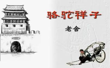 骆驼祥子的心得体会6篇