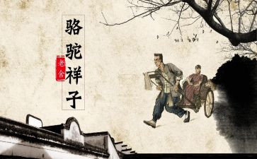 骆驼祥子7心得体会优质7篇