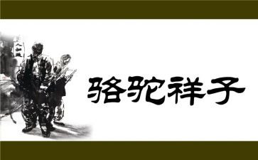 骆驼祥子的心得体会优秀5篇
