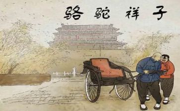 骆驼祥心得体会通用7篇
