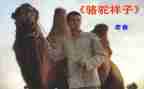 骆驼祥子7心得体会7篇