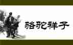 骆驼祥子的心得体会优秀5篇