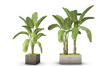 绿化工的工作总结通用7篇