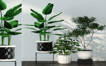 绿化工工作总结范文6篇