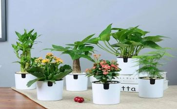 绿化工的工作总结参考8篇