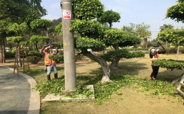 绿化工作述职报告8篇