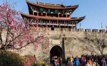 旅游心得体会范文5篇