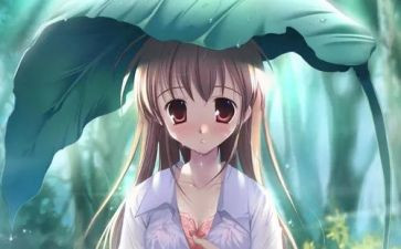 漫画待业啄木鸟作文8篇