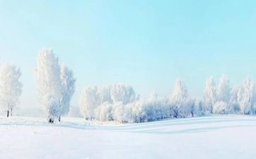 冬天打雪仗的作文7篇