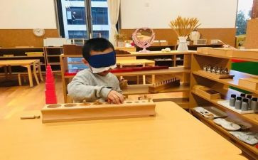 蒙氏日常心得体会6篇