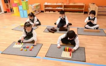 幼儿园蒙氏工作总结精选7篇