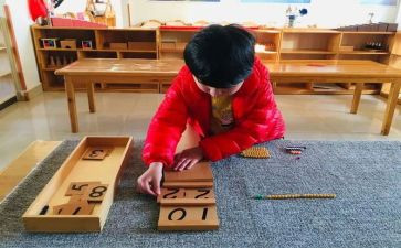 蒙氏幼儿园个人总结模板7篇